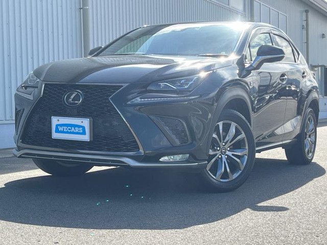 NX 300h Fスポーツ 