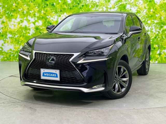 NX 300h Fスポーツ 