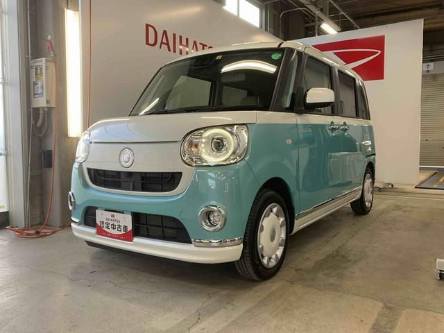 ムーヴキャンバス G メイクアップ リミテッド SAIII 