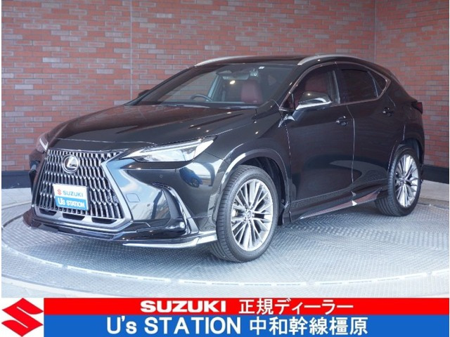 NX 250 バージョンL NX 250 バージョンL