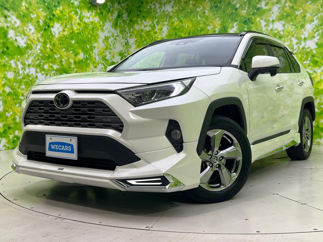 RAV4 2.0 G 4WD 
