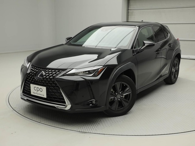 UX 250h バージョンC 