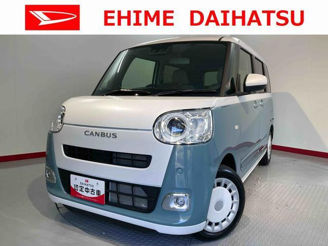 ムーヴキャンバス  ストライプス G