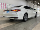 ES 300h 