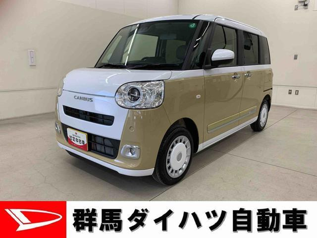ムーヴキャンバス  ストライプス G