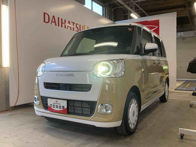 ムーヴキャンバス  ストライプス G