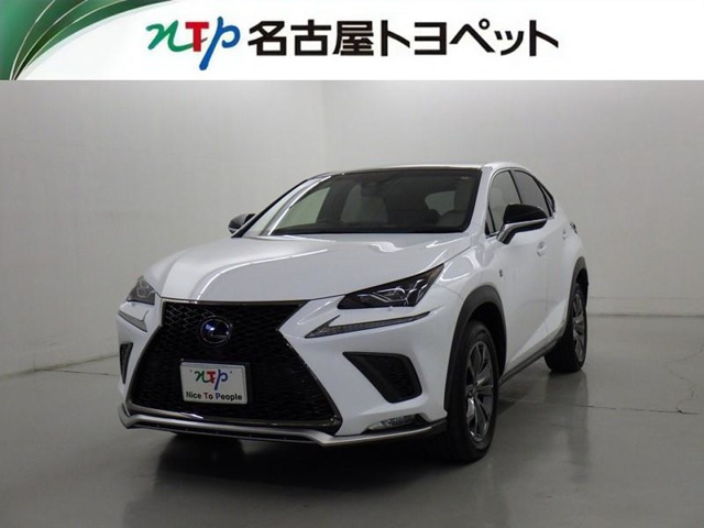 NX 300h Fスポーツ 