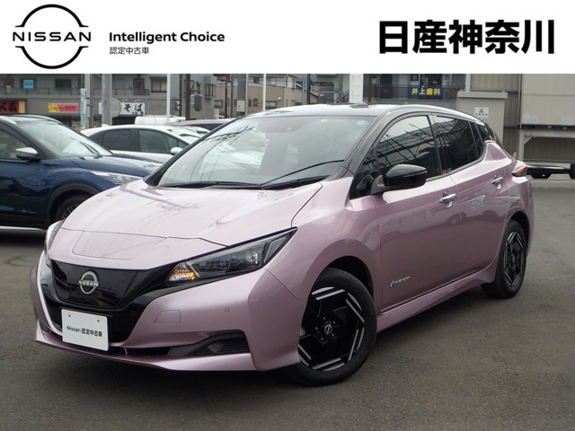 リーフ X 