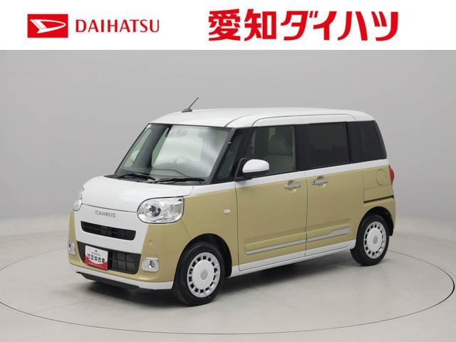 ムーヴキャンバス  ストライプス G