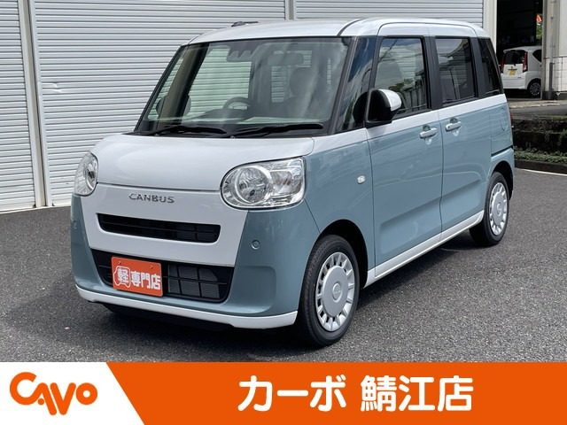 ムーヴキャンバス  ストライプス X