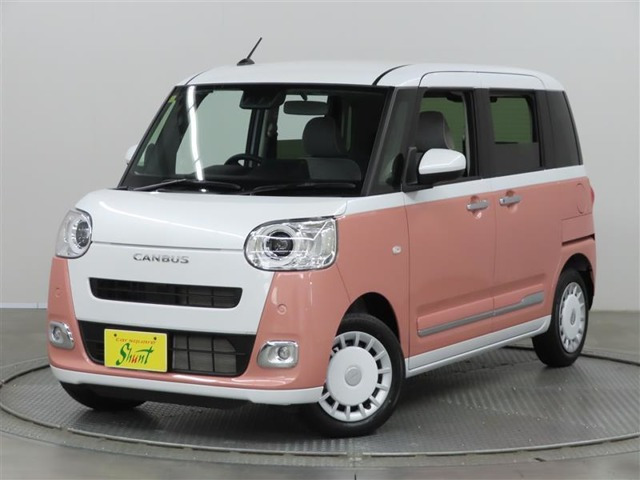 ムーヴキャンバス  ストライプス G