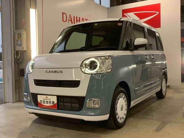ムーヴキャンバス  ストライプス G