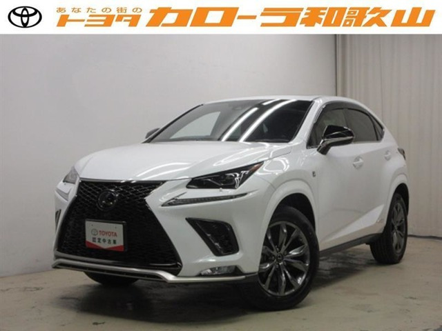 NX 300h Fスポーツ 