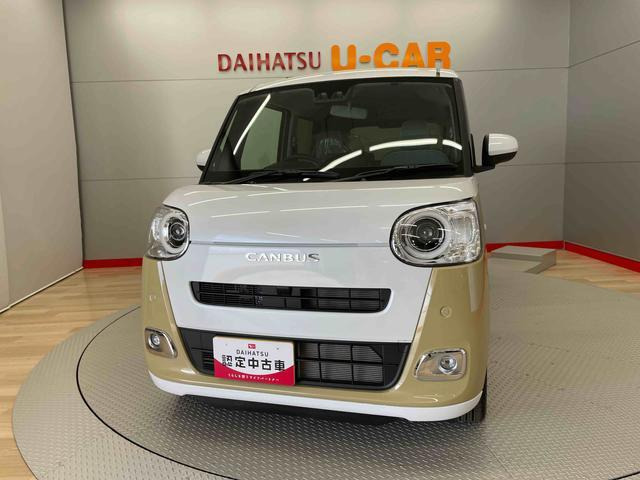ムーヴキャンバス  ストライプス G