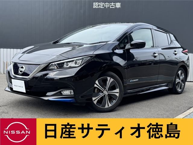 リーフ G 