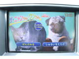 DVDも視聴可能です♪