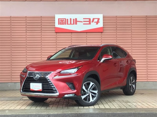 NX 300 Iパッケージ 