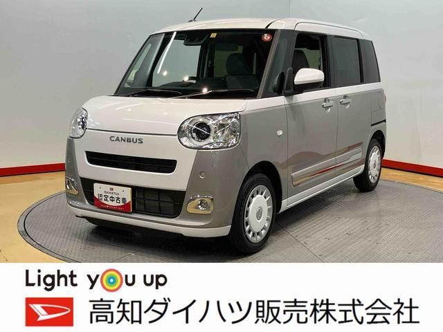 ムーヴキャンバス  ストライプス G
