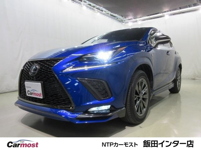 NX 300h アーバンスタイル クール&ブライト