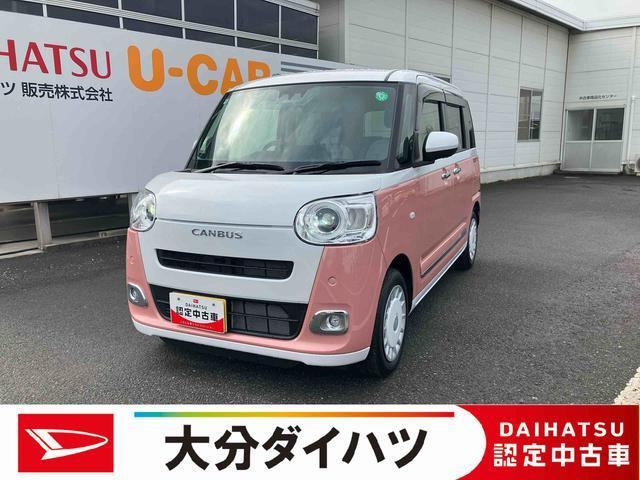 ムーヴキャンバス  ストライプス G