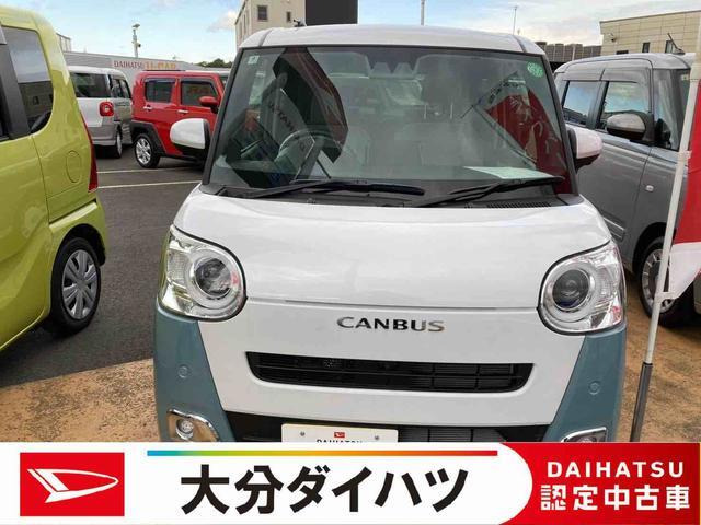 ムーヴキャンバス  ストライプス G