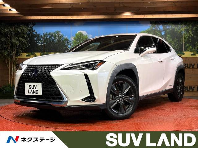 UX 250h バージョンC 