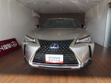 UX 250h バージョンC 