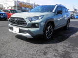 RAV4 2.0 アドベンチャー 4WD 