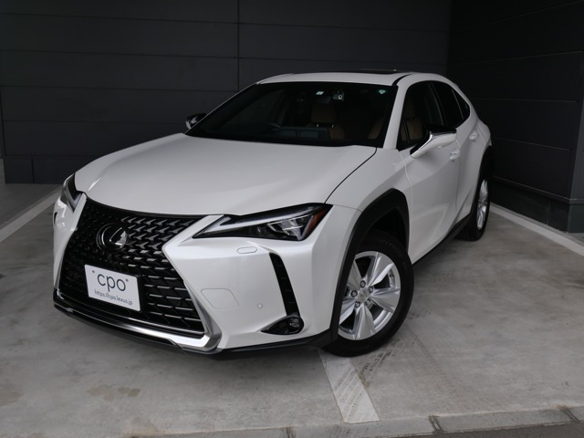 UX 250h バージョンC 