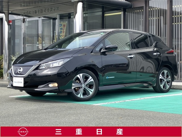 リーフ G 