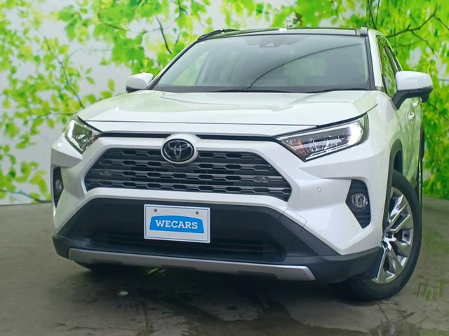 RAV4 2.0 G Zパッケージ 4WD 