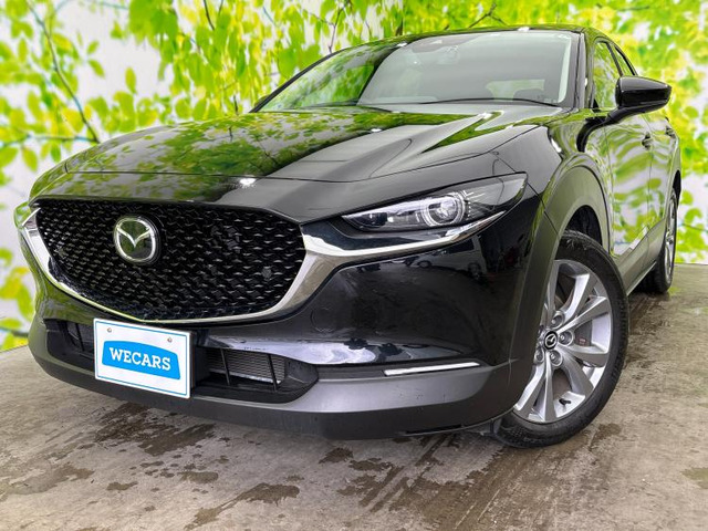 CX-30 2.0 20S プロアクティブ ツーリングセレクション 