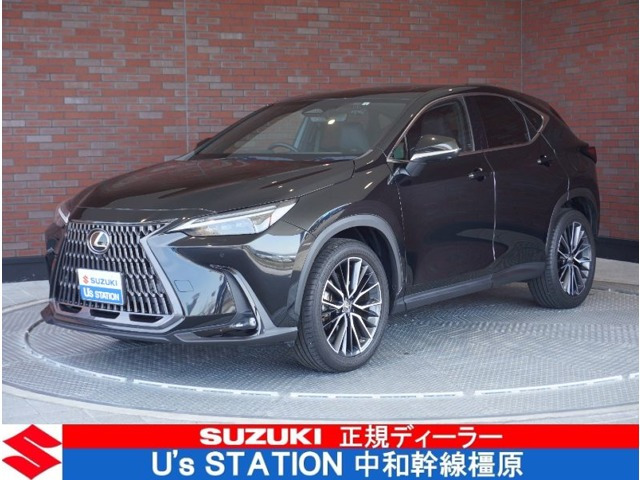 NX 250 バージョンL NX 250 バージョンL