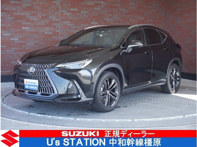 NX 250 バージョンL NX 250 バージョンL