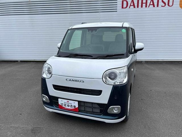 ムーヴキャンバス  ストライプス G