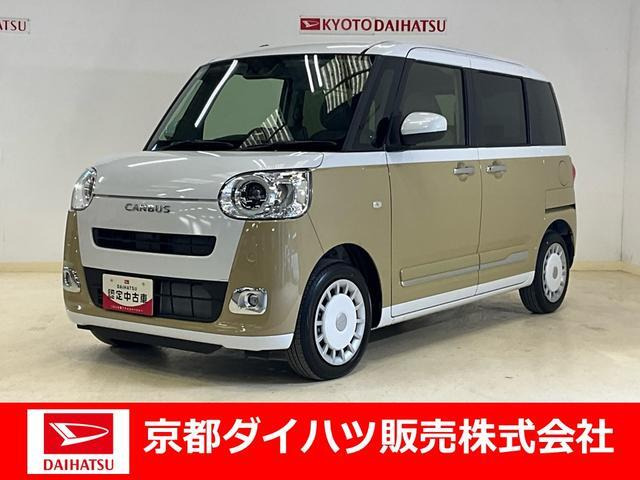 ムーヴキャンバス  ストライプス G