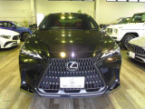 NX 250 バージョンL NX 250 バージョンL