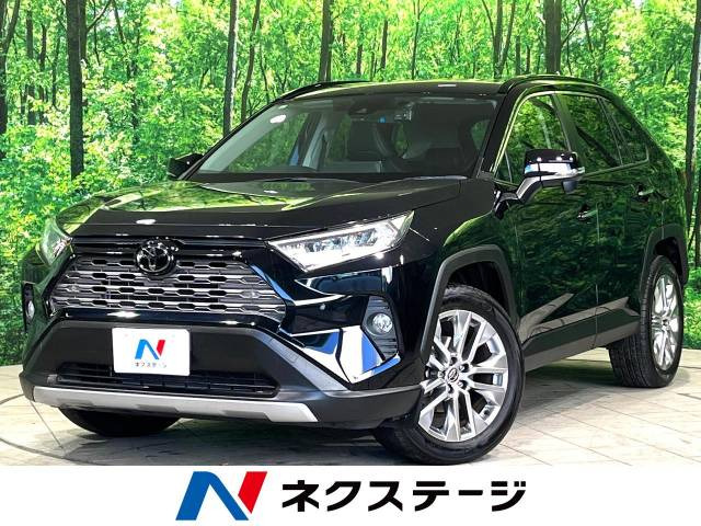 RAV4  G Zパッケージ