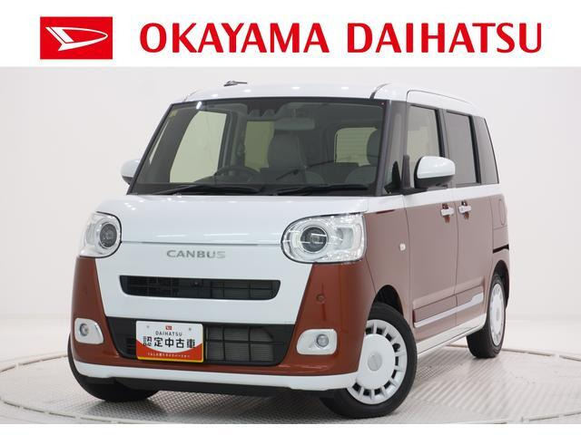 ムーヴキャンバス  ストライプス G