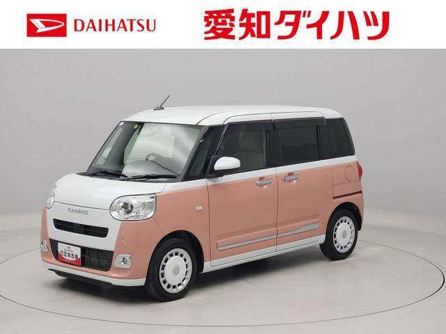 ムーヴキャンバス  ストライプス G