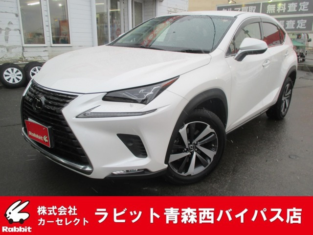 NX 300 バージョンL 4WD 