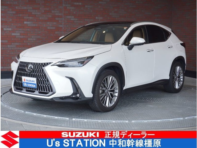 NX 250 バージョンL NX 250 バージョンL