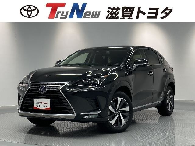 NX 300h バージョンL 