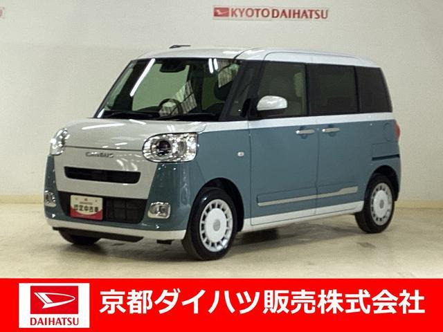 ムーヴキャンバス  ストライプス G