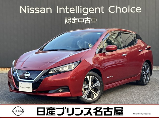 リーフ X 