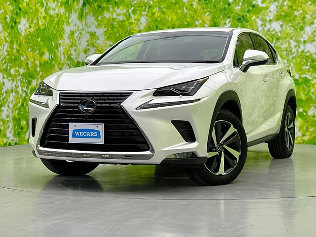 NX 300 Iパッケージ 4WD 