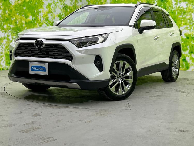 RAV4 2.0 G Zパッケージ 4WD 