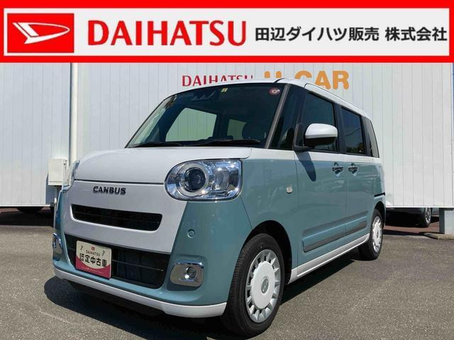 ムーヴキャンバス  ストライプス G