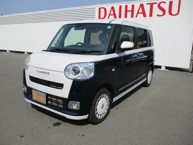ムーヴキャンバス  ストライプス G