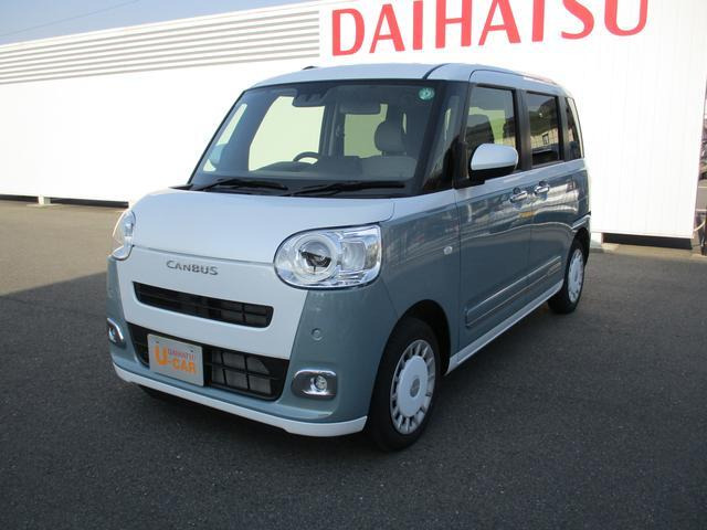 ムーヴキャンバス  ストライプス G